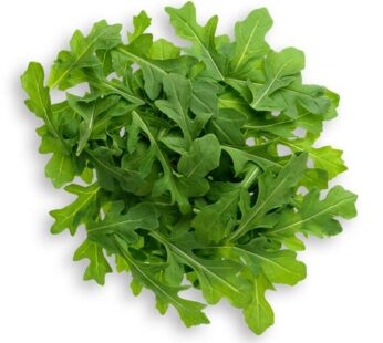 Arugula / Aragula