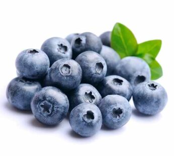 Blueberry china Grosir