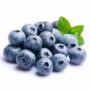 Blueberry china Grosir