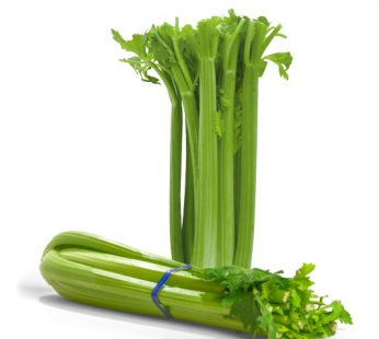 Celery Stick / Celery
