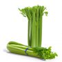 Celery Stick / Celery