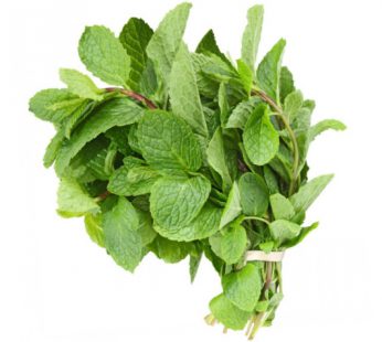 Daun Mint / Daun Mint / Fresh Mint Leaf