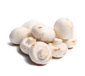 Jamur Champignon / Jamur Kancing