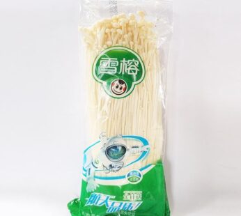 Jamur Enoki Astro Grosir