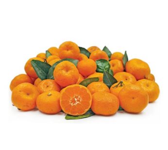 Jeruk Santang Grosir