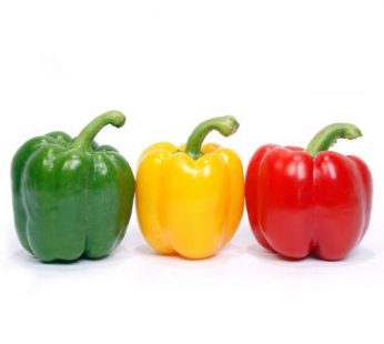 Paprika Segar / Cabai Besar Paprika Grosir