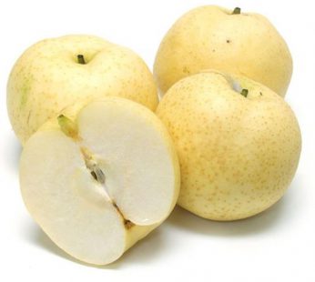 Pear Centuri 60 Grosir