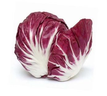Radicchio / Sayur Radicchio / Sawi Merah