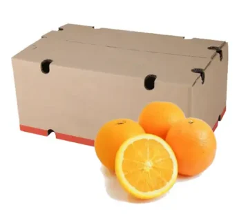 Jeruk Sunkist Navel Grosir