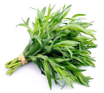 Daun Tarragon / Taragon / Daun Taragon