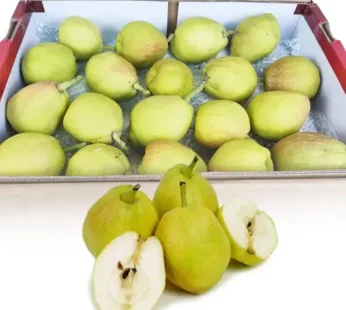 Pear Xiang Lie Grosir