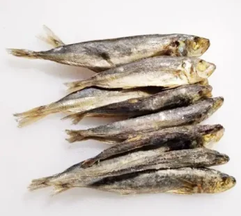 Ikan Asin Layang Grosir