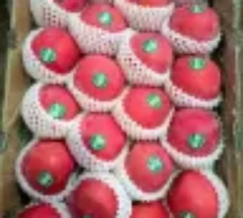 Apel Fuji Wangsan Grosir