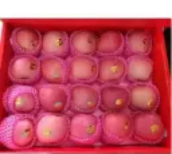 Apel Fuji 138 Grosir